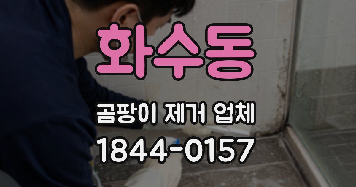 화수동 곰팡이 제거 업체