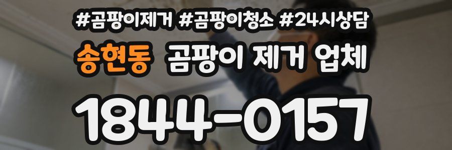 송현동 곰팡이 제거 업체