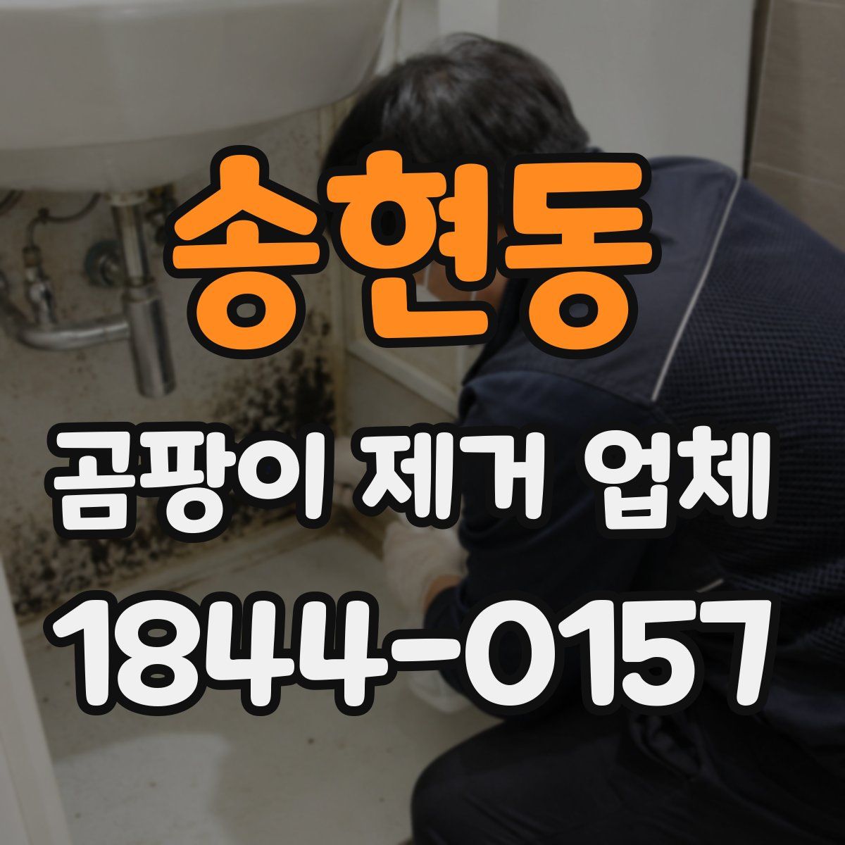 송현동 곰팡이 제거 업체