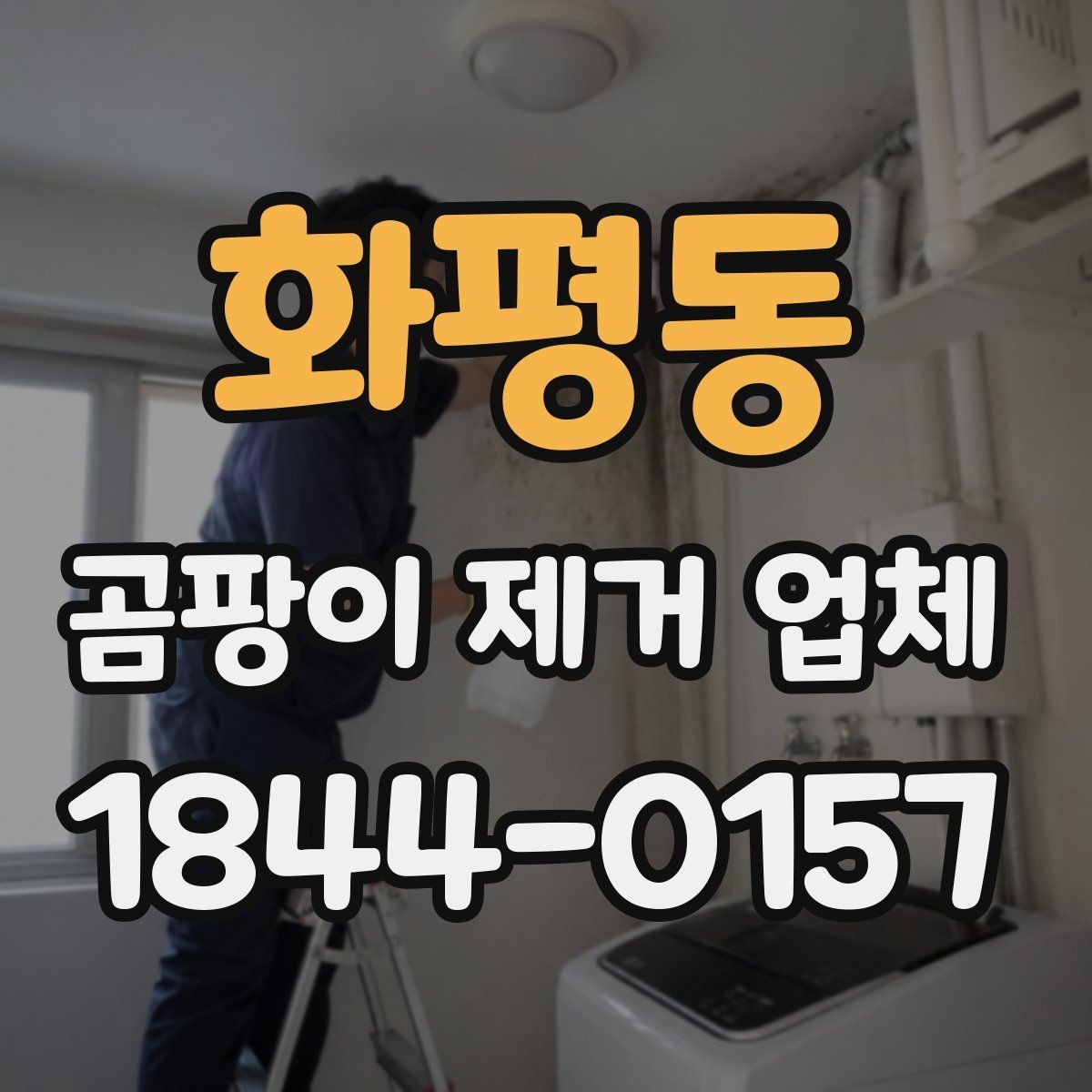 화평동 곰팡이 제거 업체 물자국과 표면 오염을 구별하는 포인트