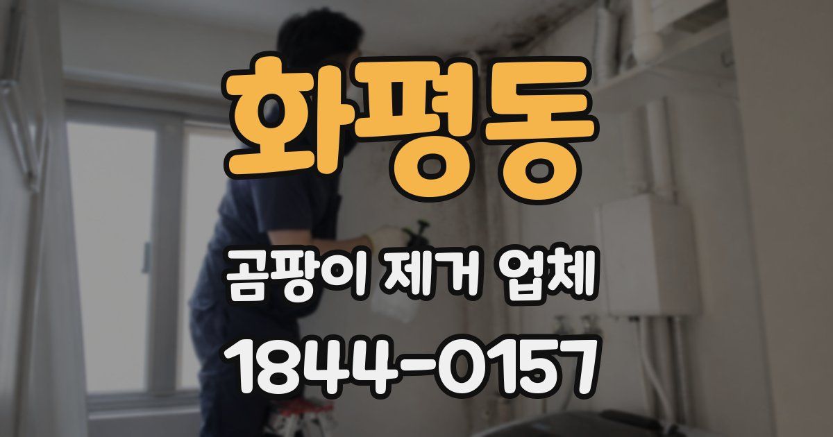 화평동 곰팡이 제거 업체