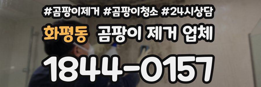 화평동 곰팡이 제거 업체