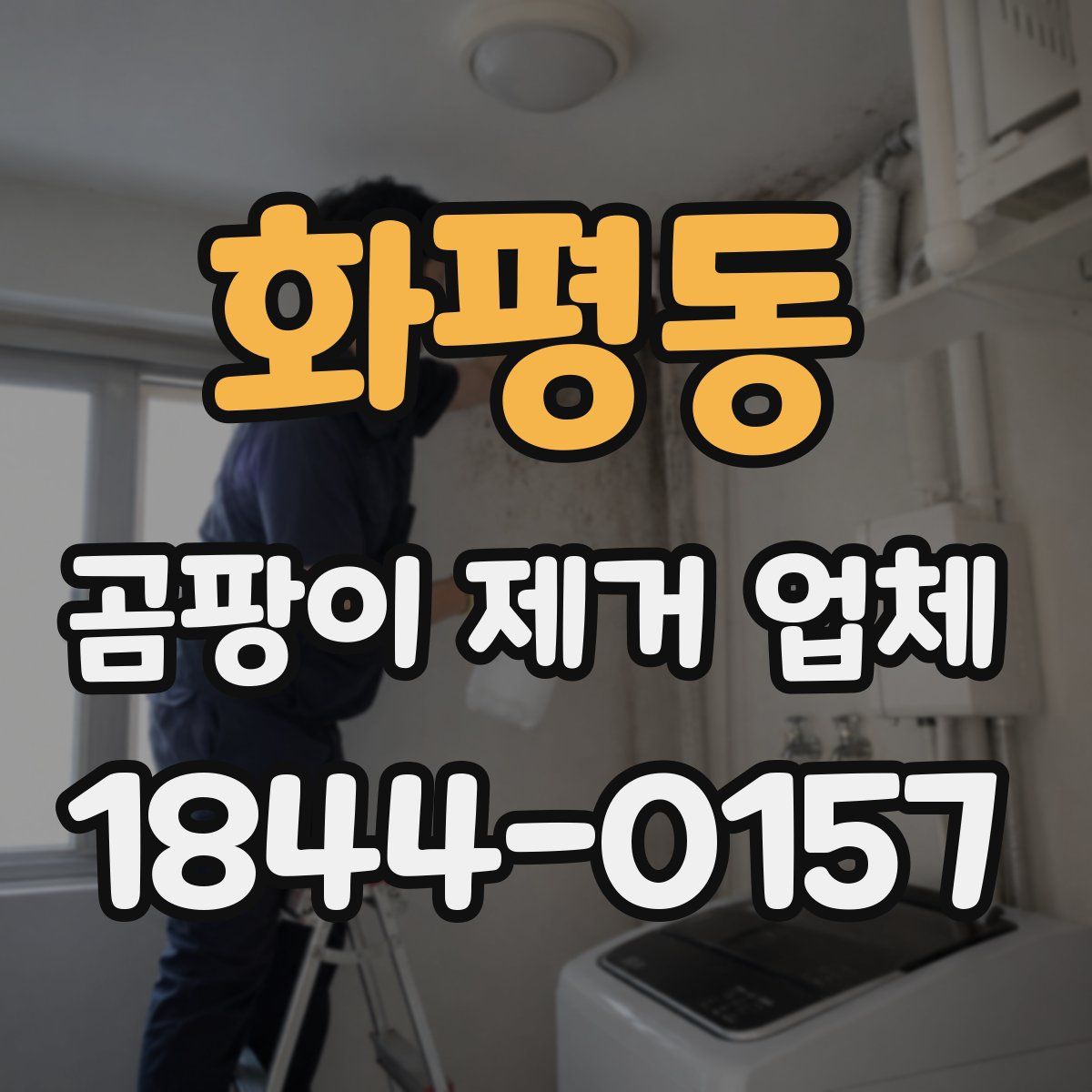 화평동 곰팡이 제거 업체
