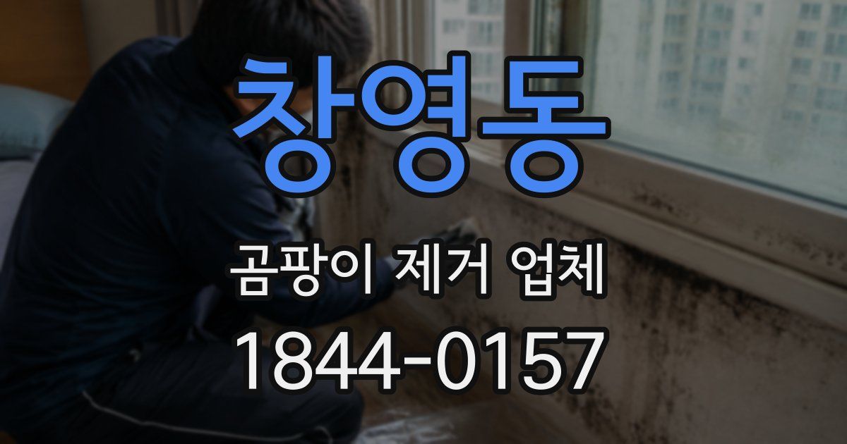 창영동 곰팡이 제거 업체
