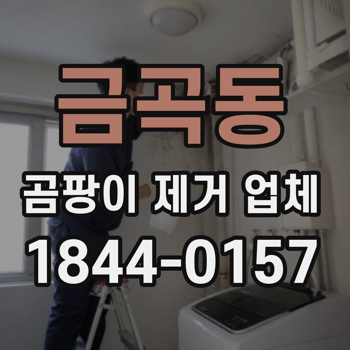 금곡동 곰팡이 제거 업체