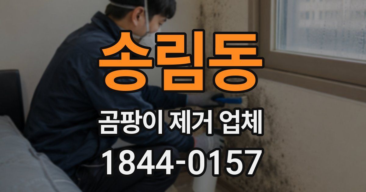 송림동 곰팡이 제거 업체