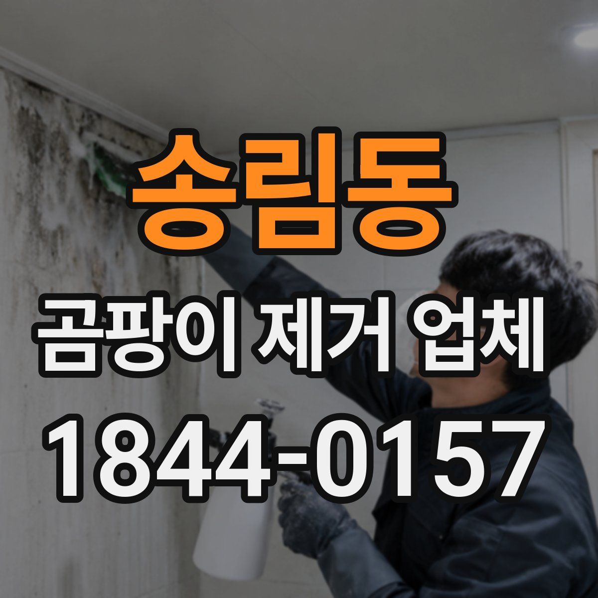 송림동 곰팡이 제거 업체