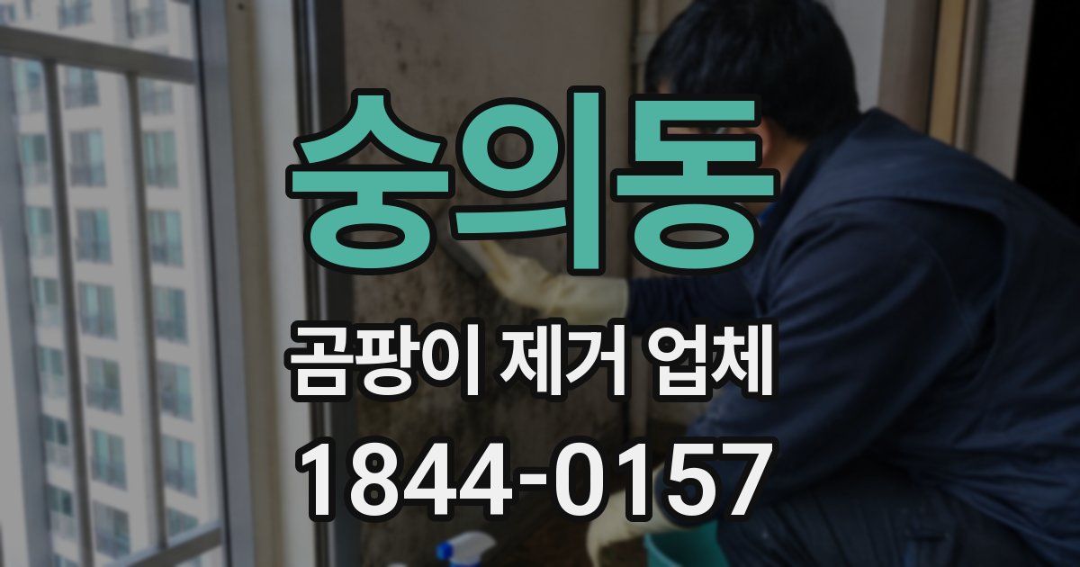 숭의동 곰팡이 제거 업체