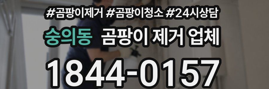 숭의동 곰팡이 제거 업체