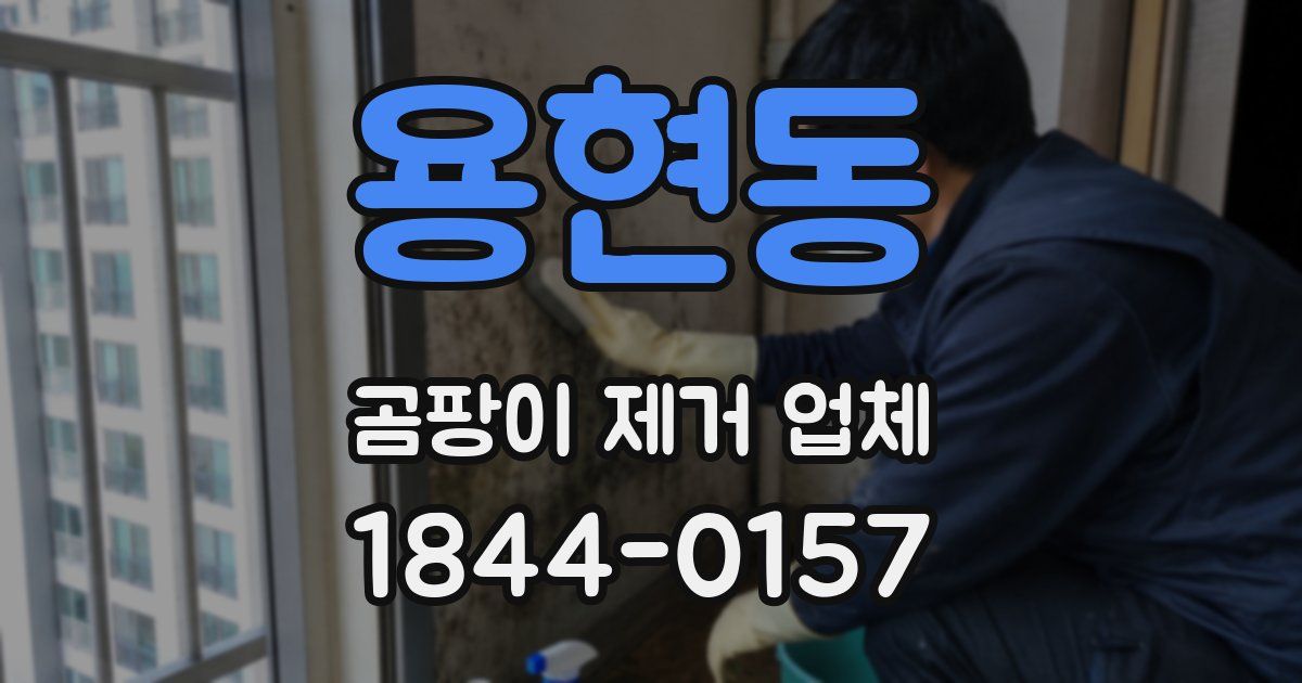용현동 곰팡이 제거 업체