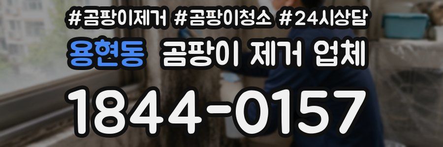 용현동 곰팡이 제거 업체