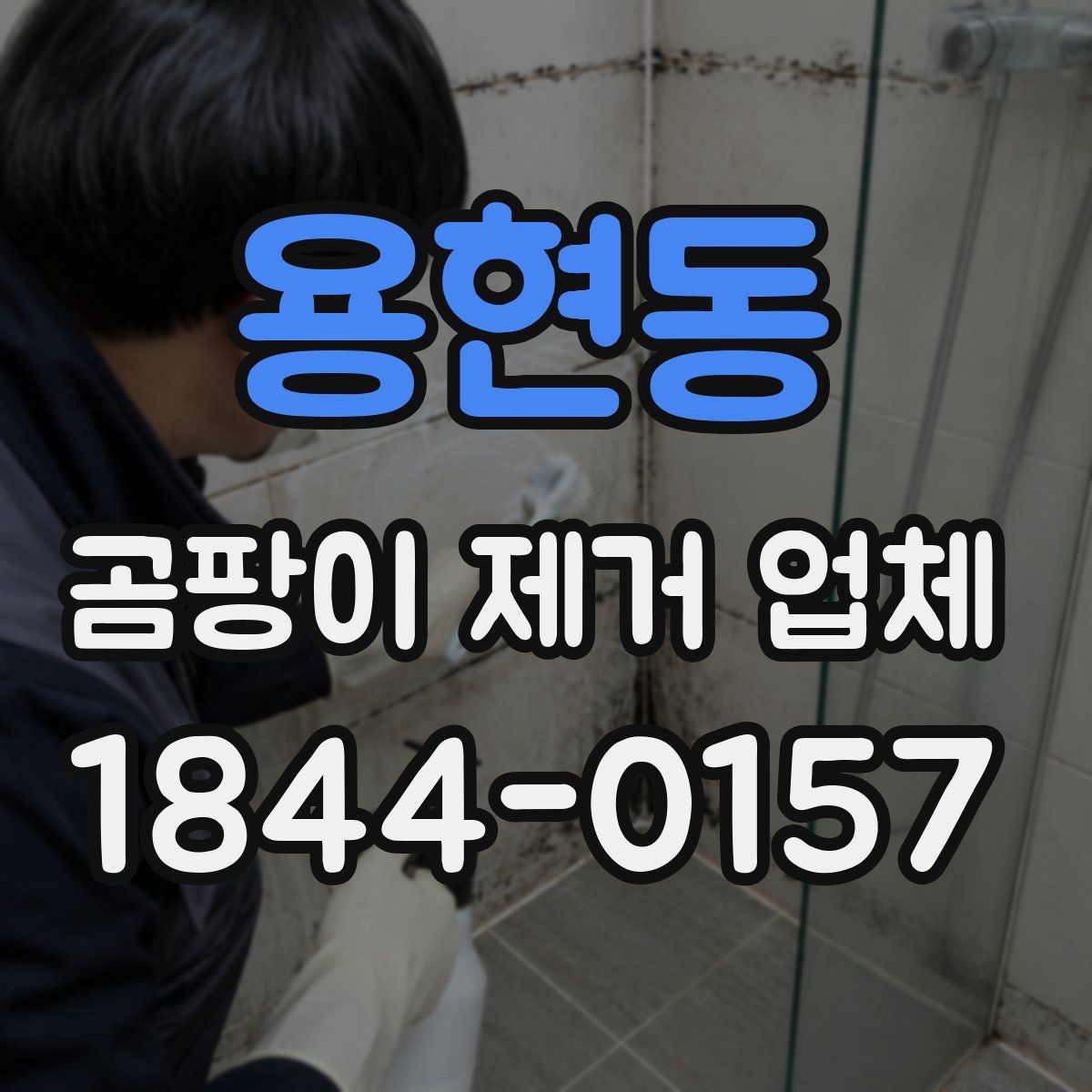 용현동 곰팡이 제거 업체
