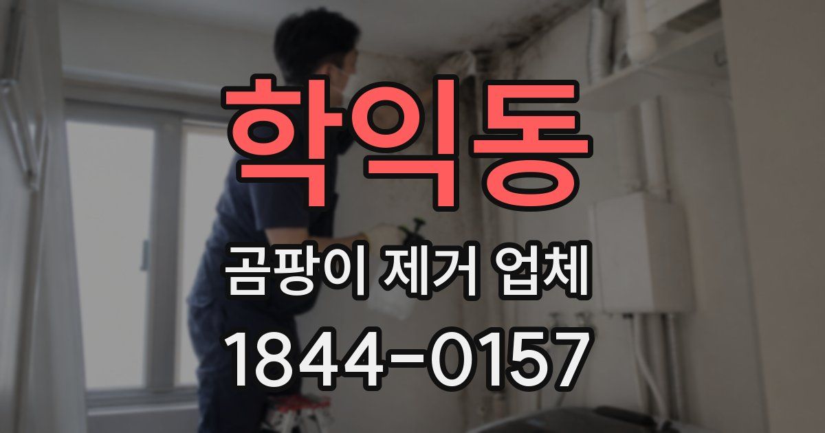 학익동 곰팡이 제거 업체