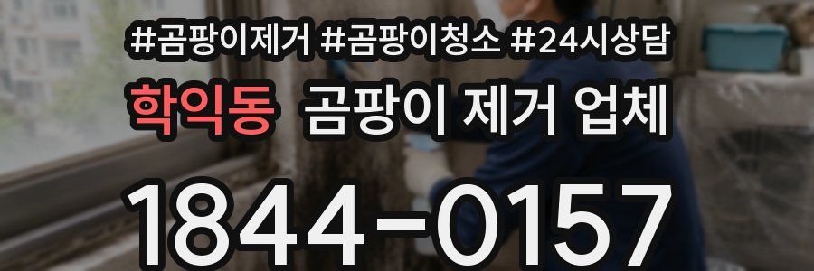 학익동 곰팡이 제거 업체