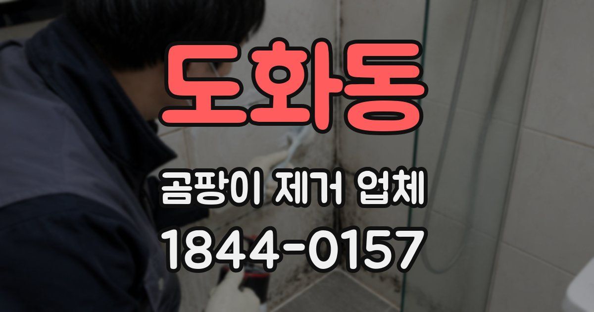 도화동 곰팡이 제거 업체