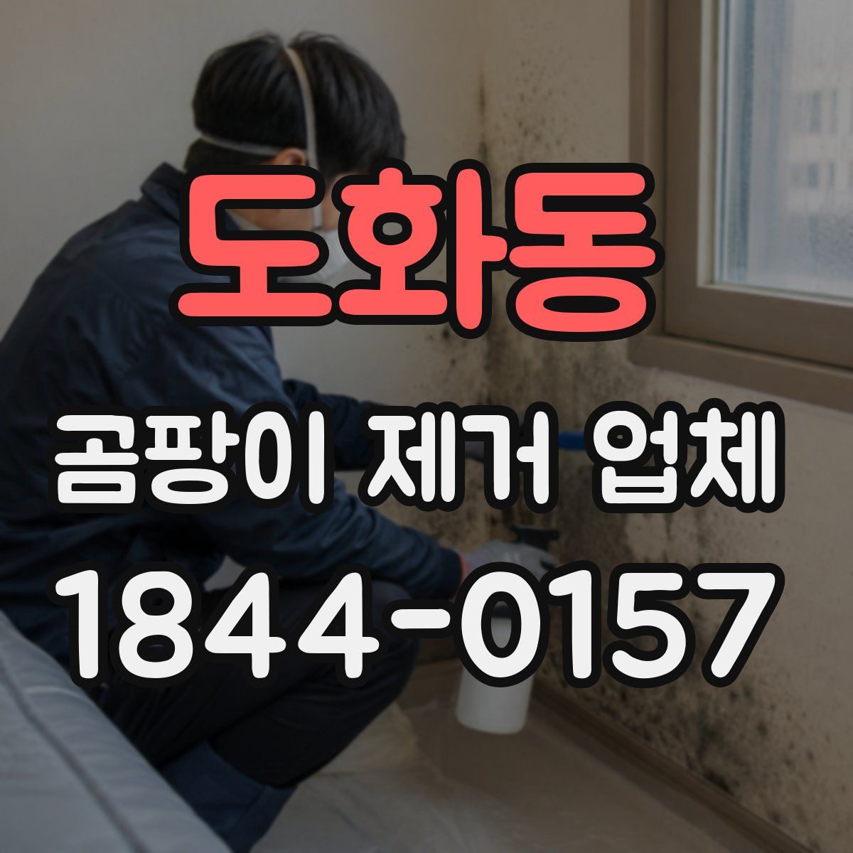 도화동 곰팡이 제거 업체