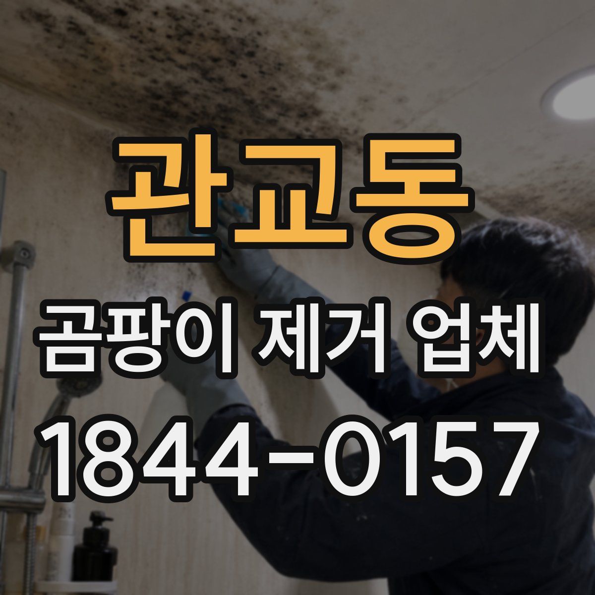 관교동 곰팡이 제거 업체