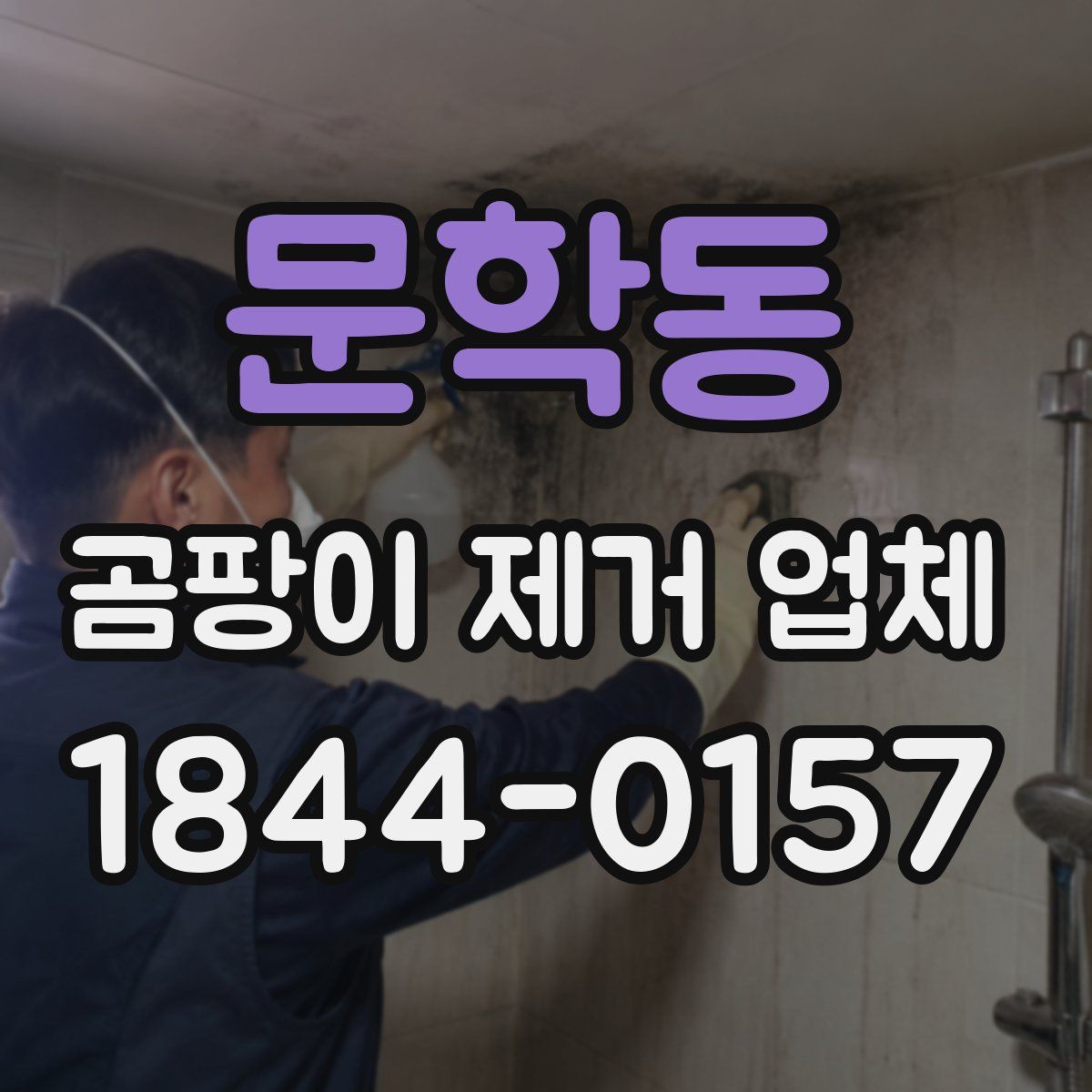 문학동 곰팡이 제거 업체