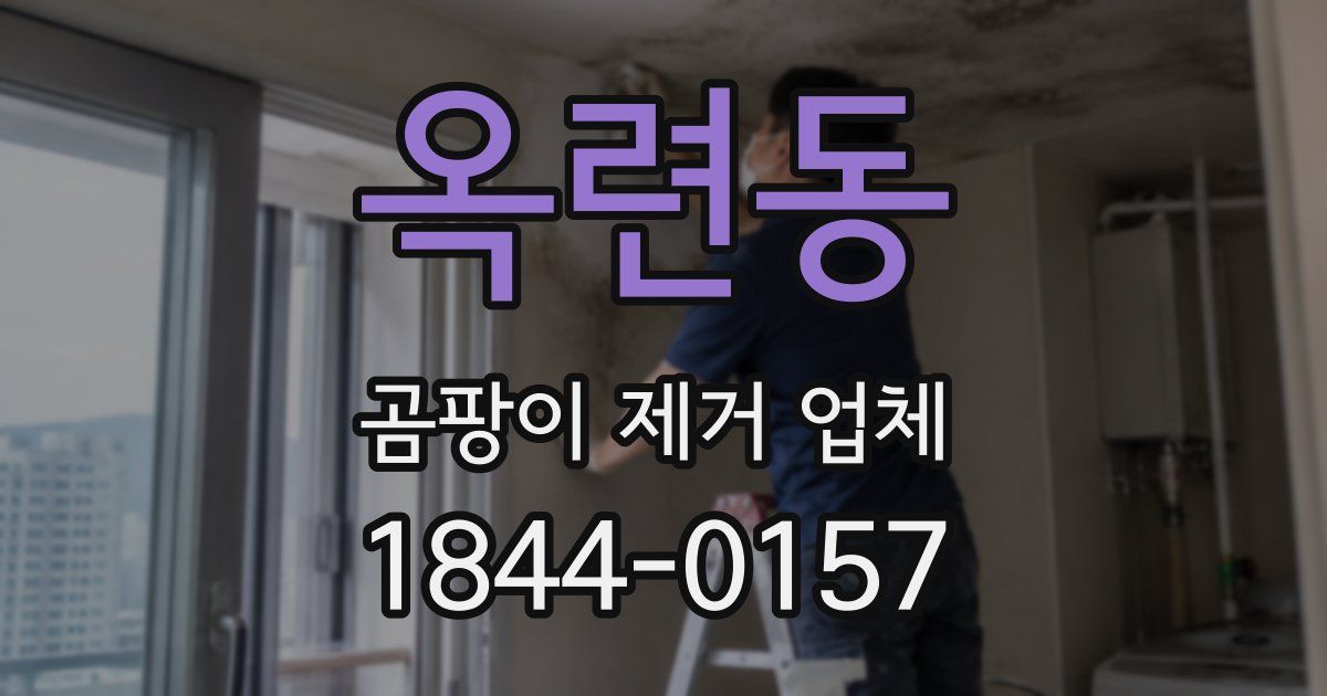 옥련동 곰팡이 제거 업체