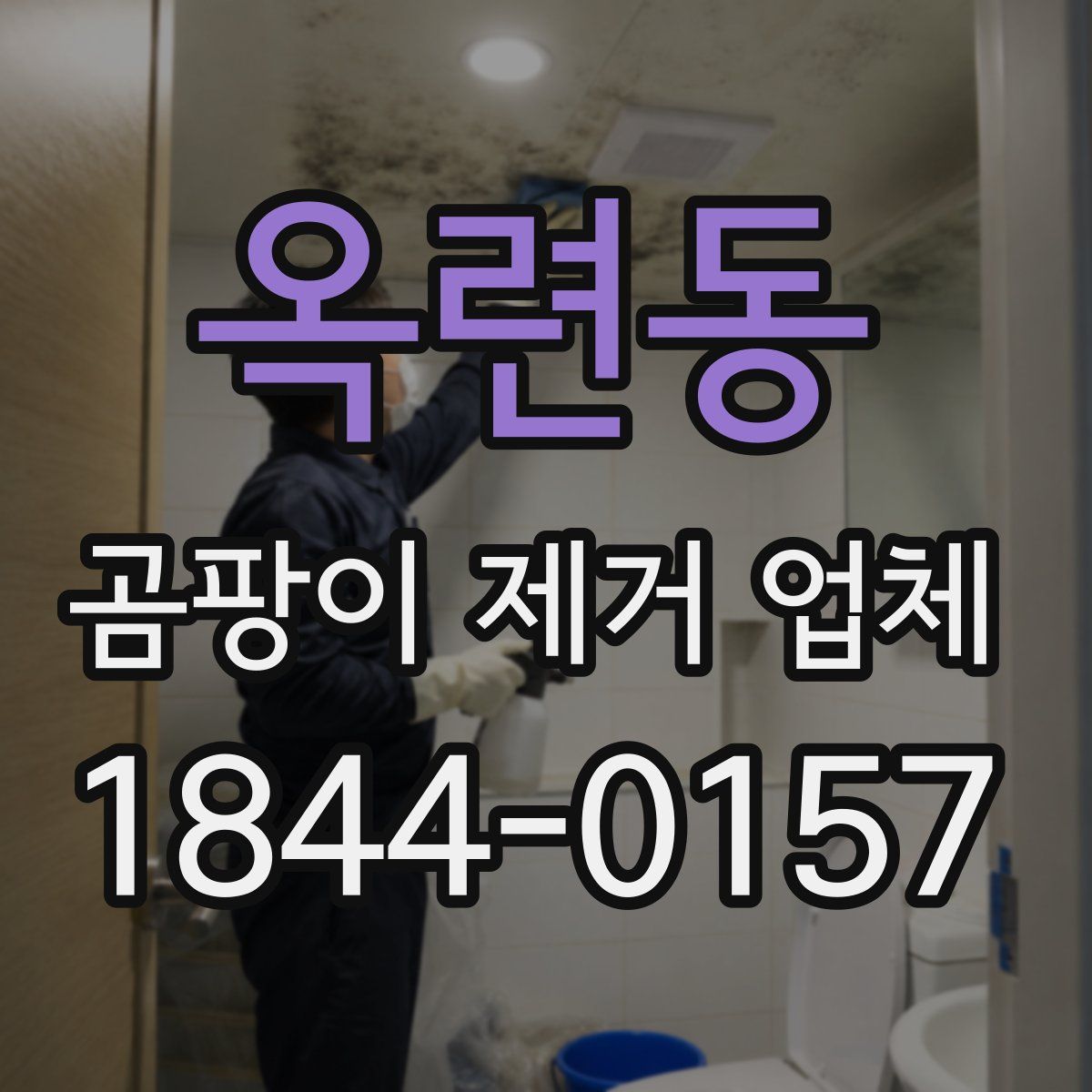 옥련동 곰팡이 제거 업체