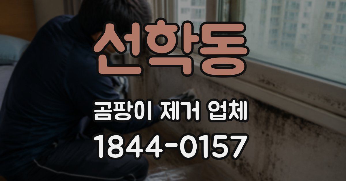 선학동 곰팡이 제거 업체