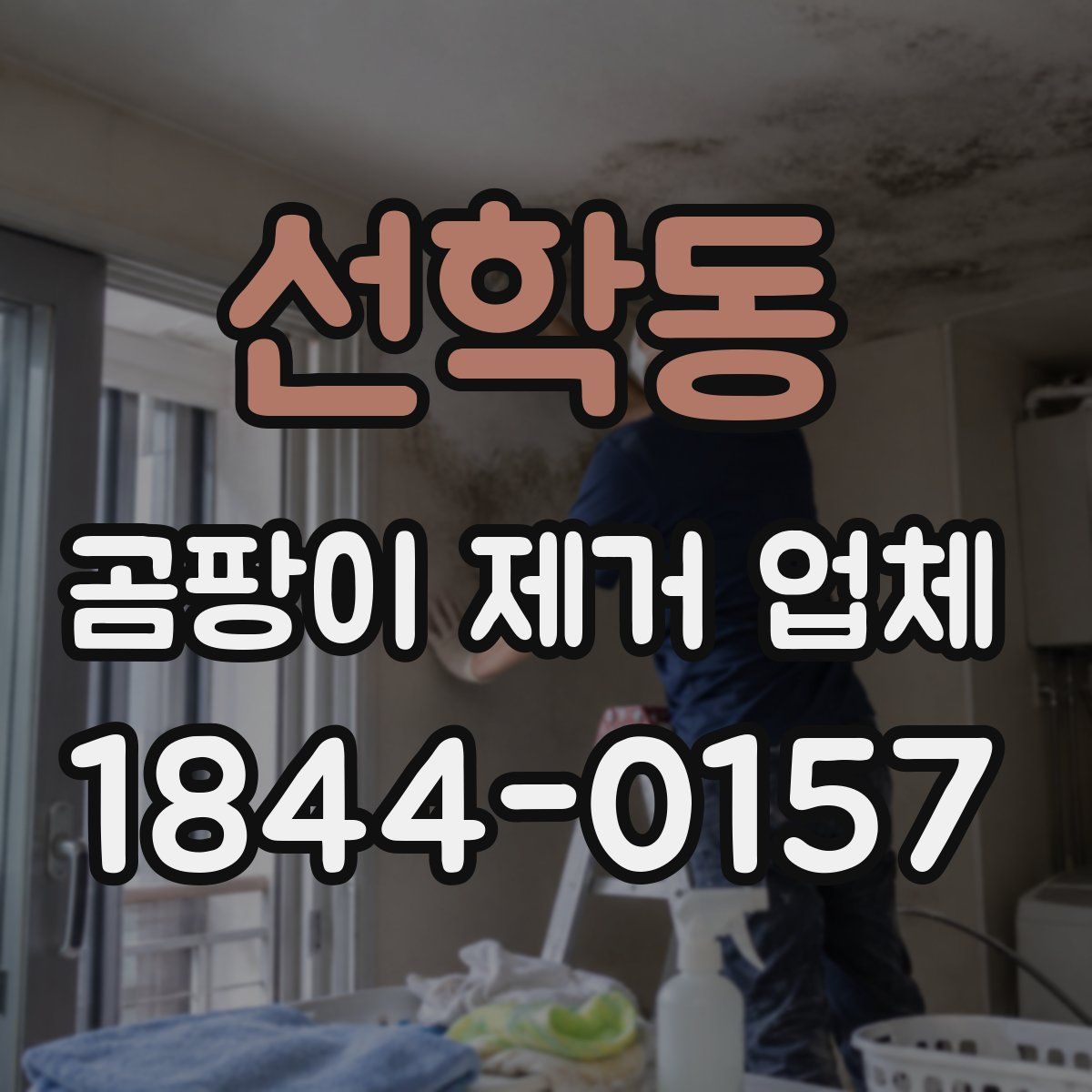 선학동 곰팡이 제거 업체