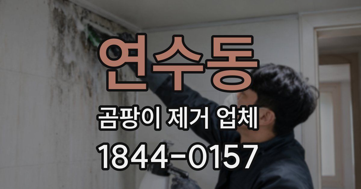 연수동 곰팡이 제거 업체