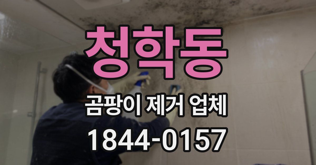 청학동 곰팡이 제거 업체