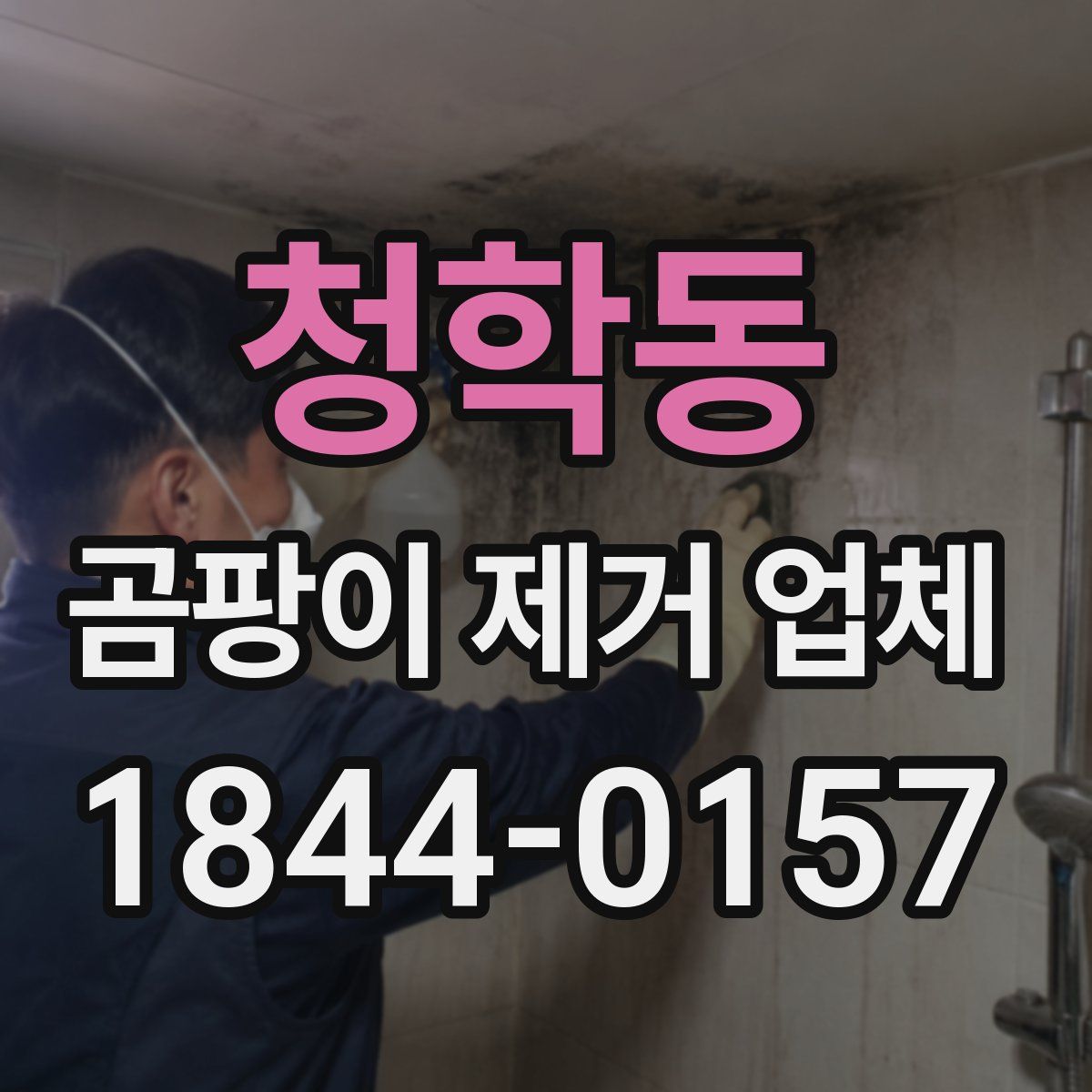 청학동 곰팡이 제거 업체