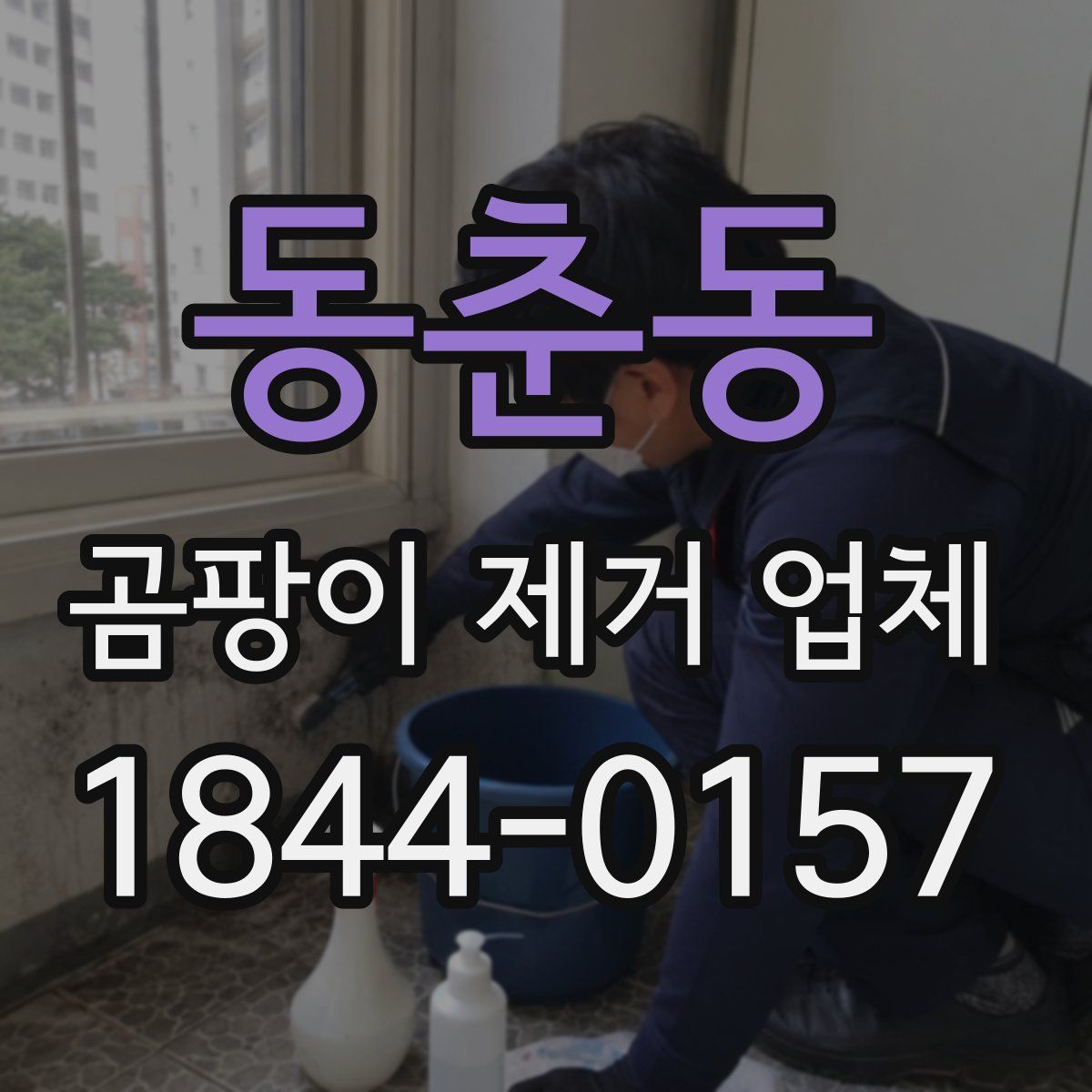 동춘동 곰팡이 제거 업체
