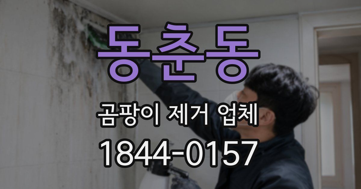 동춘동 곰팡이 제거 업체