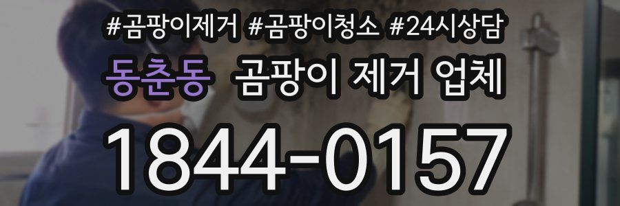 동춘동 곰팡이 제거 업체