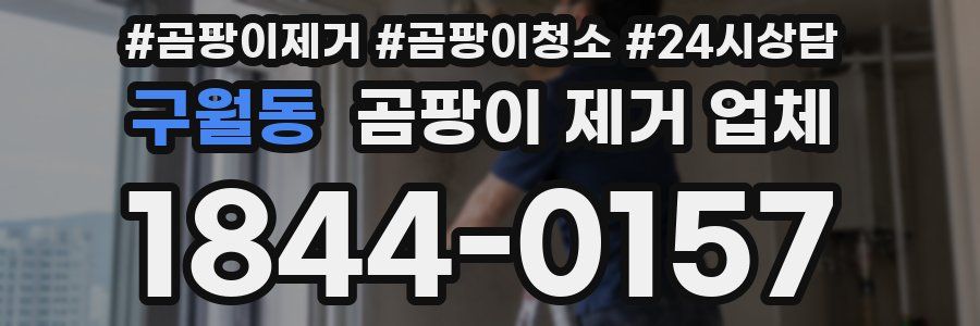 구월동 곰팡이 제거 업체