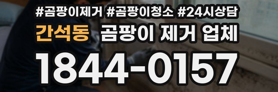 간석동 곰팡이 제거 업체