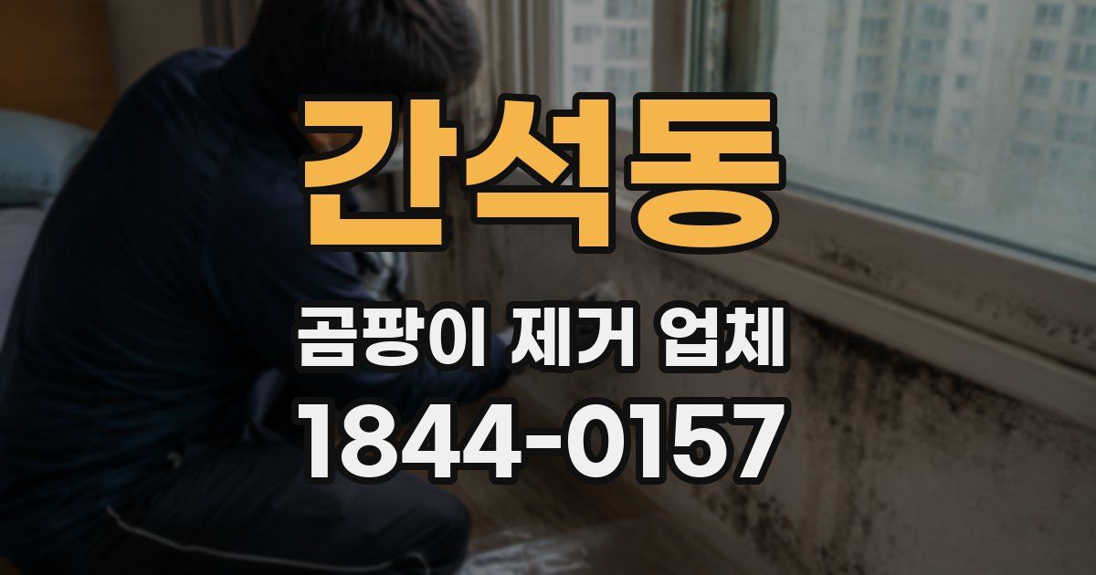 간석동 곰팡이 제거 업체