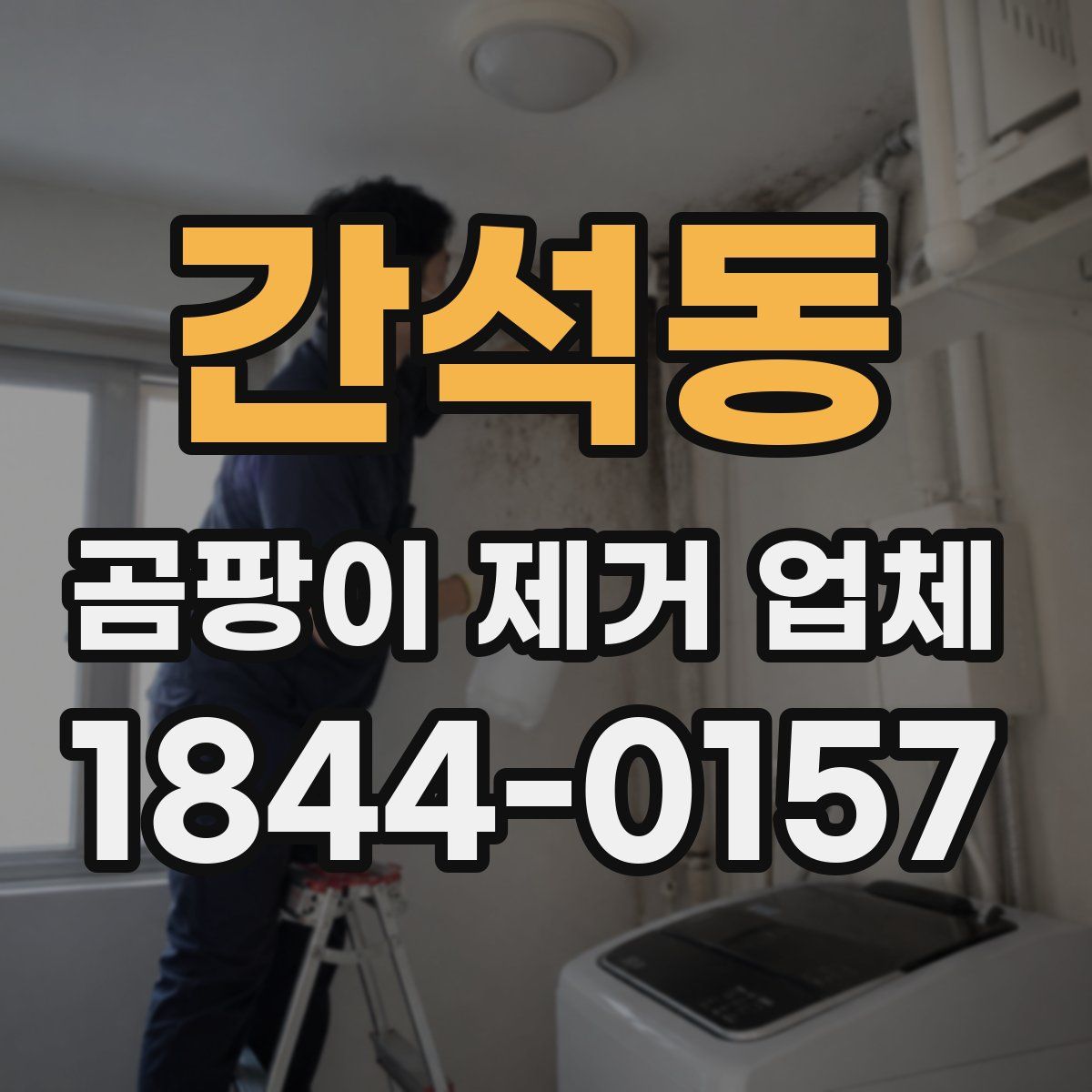 간석동 곰팡이 제거 업체