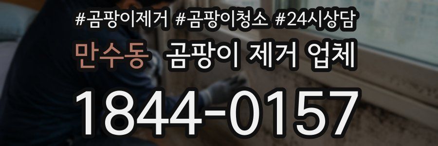 만수동 곰팡이 제거 업체
