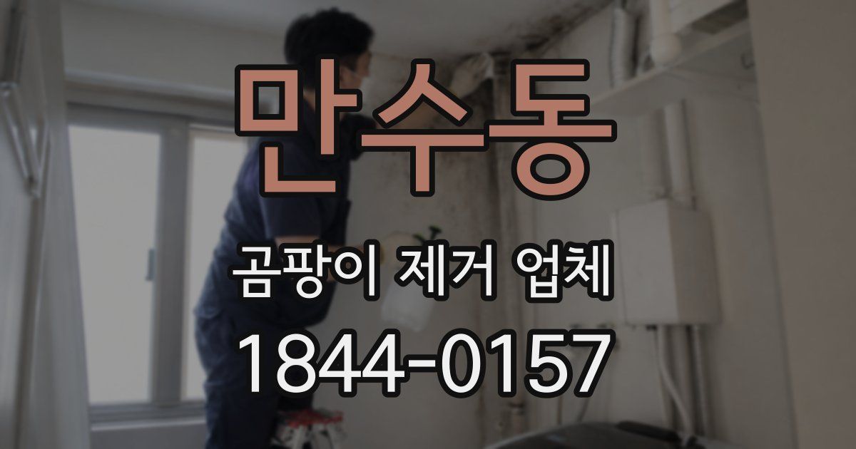 만수동 곰팡이 제거 업체