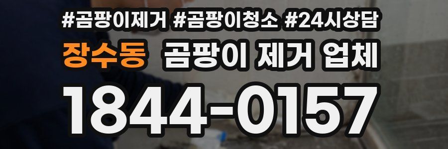 장수동 곰팡이 제거 업체