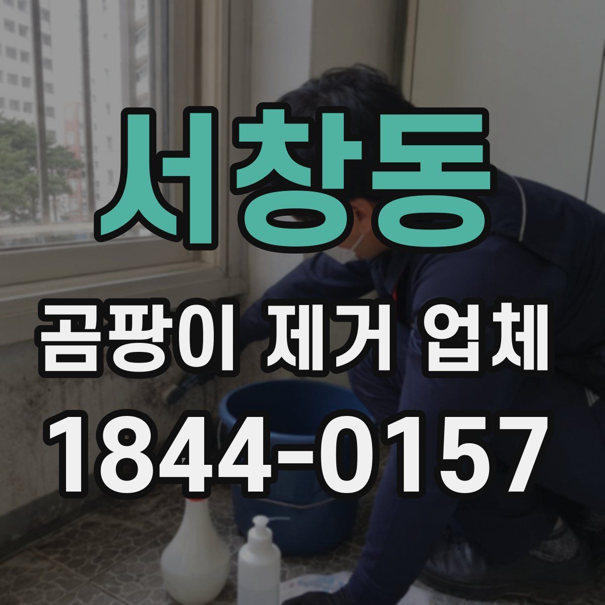 서창동 곰팡이 제거 업체