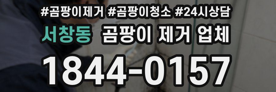 서창동 곰팡이 제거 업체