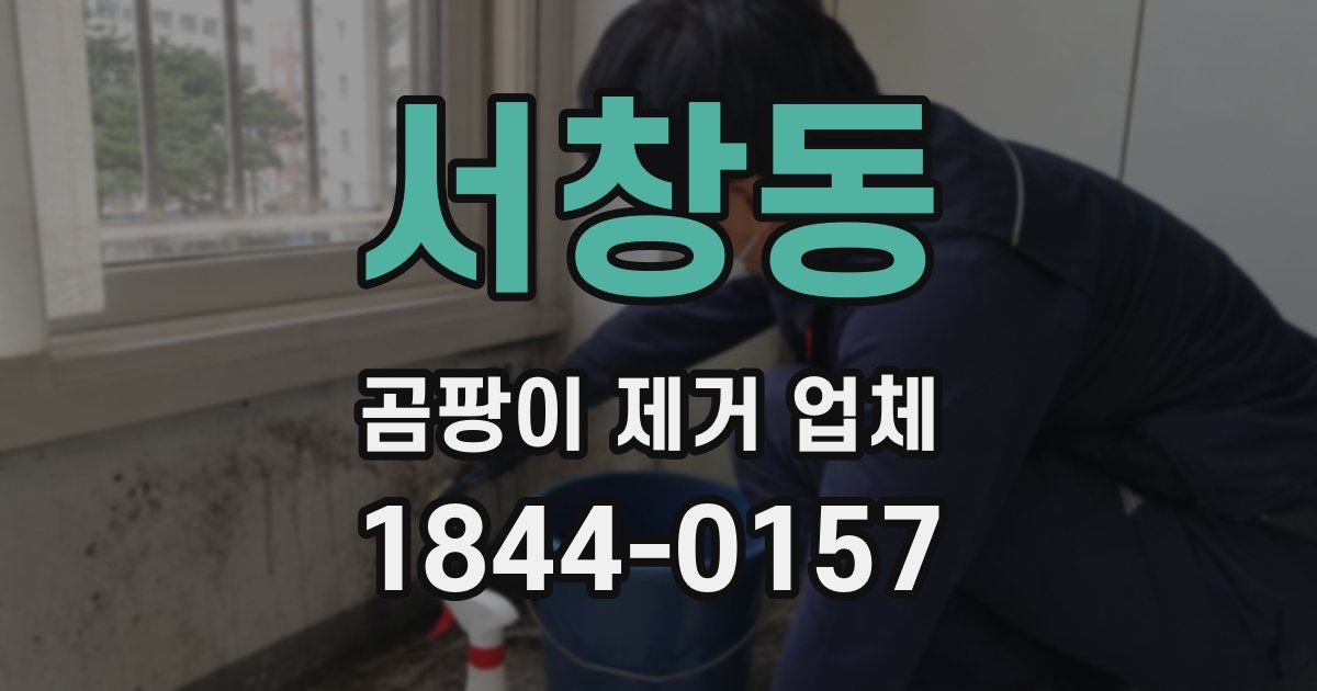 서창동 곰팡이 제거 업체