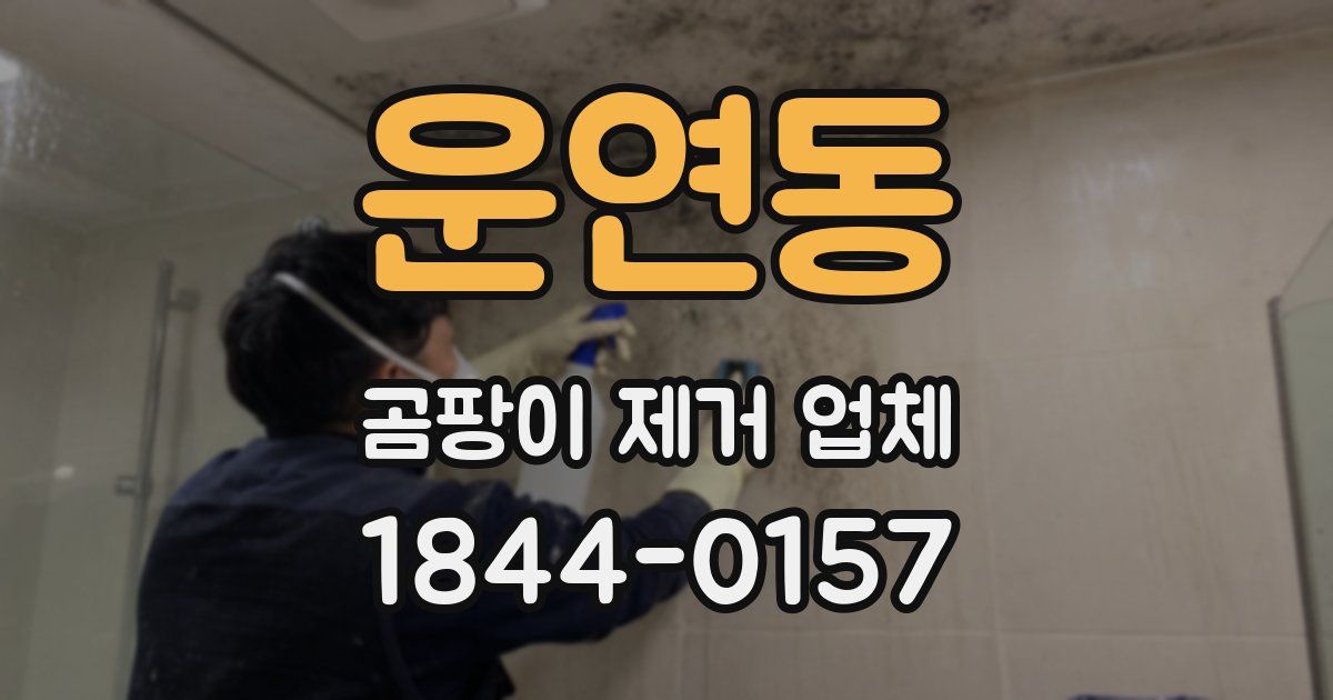 운연동 곰팡이 제거 업체