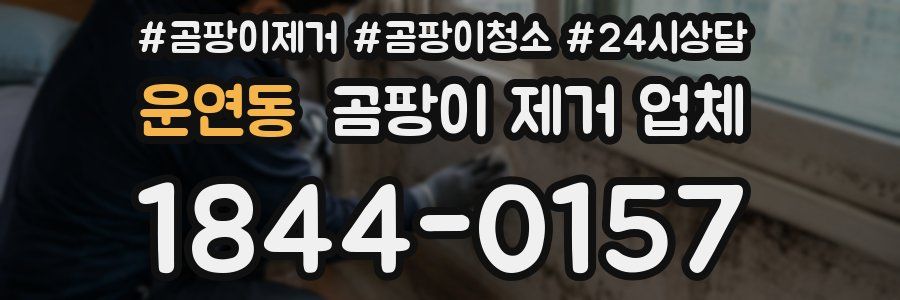 운연동 곰팡이 제거 업체