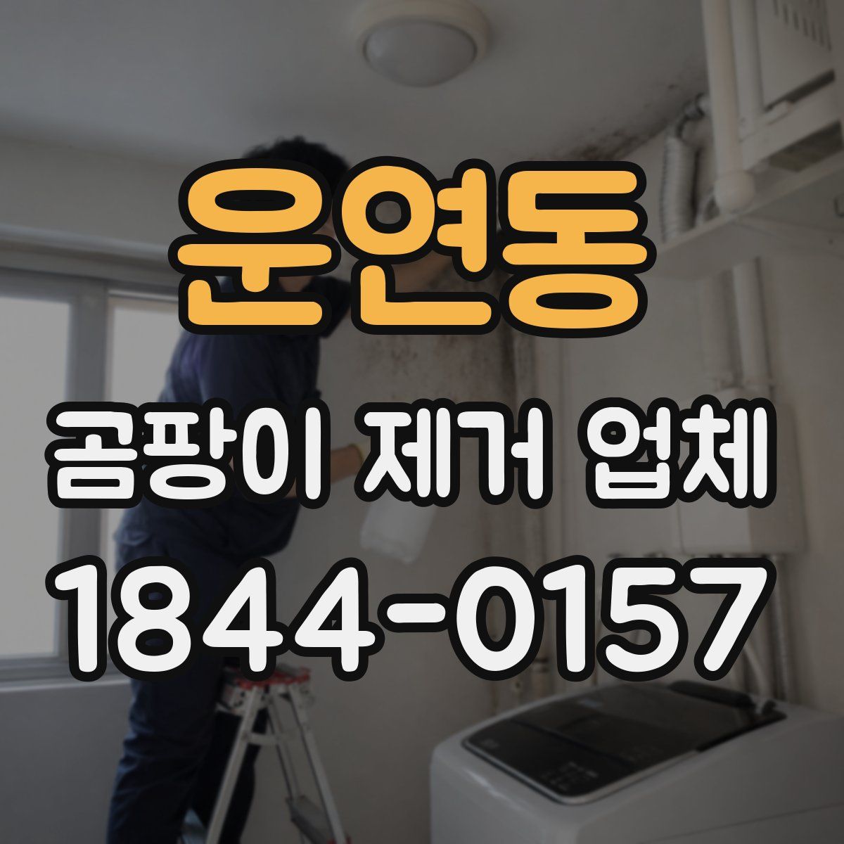 운연동 곰팡이 제거 업체
