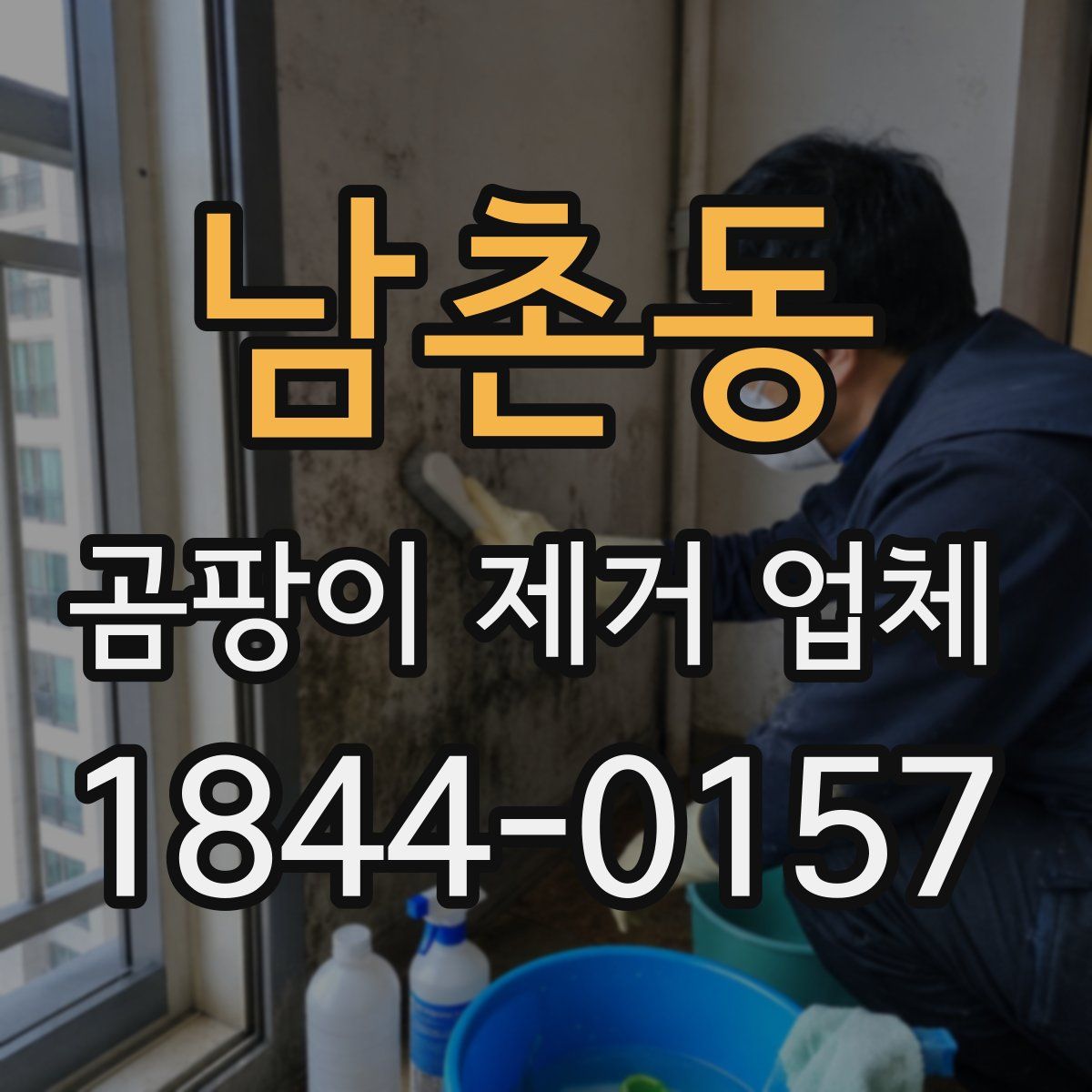 남촌동 곰팡이 제거 업체