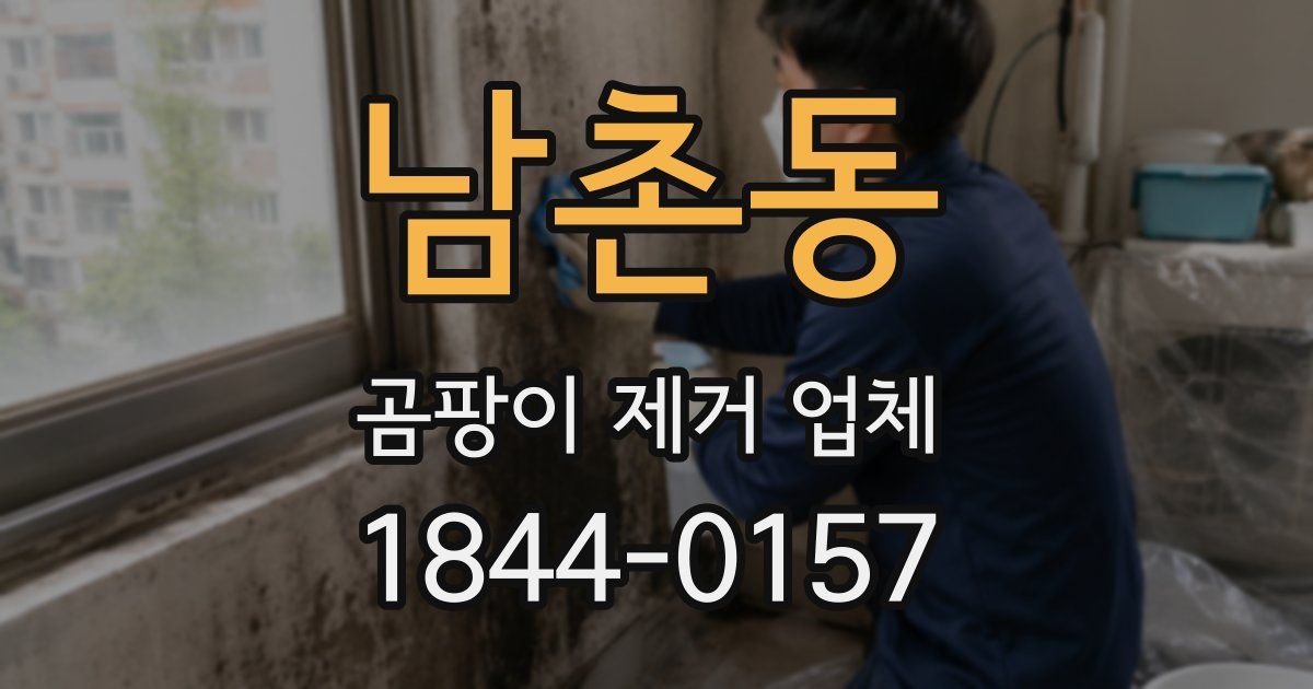 남촌동 곰팡이 제거 업체