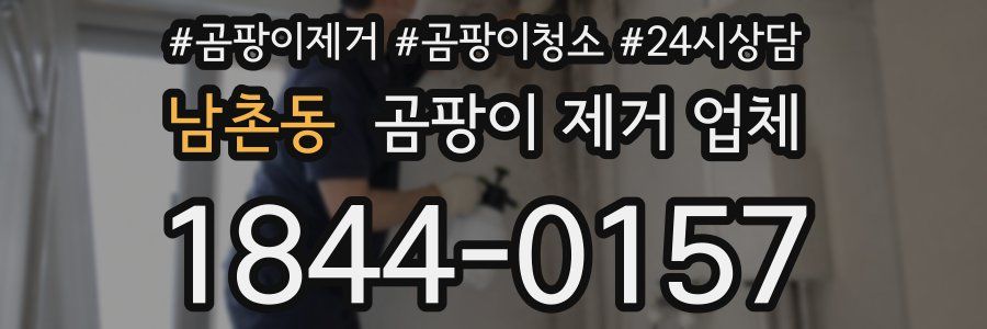 남촌동 곰팡이 제거 업체