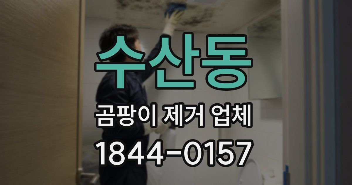 수산동 곰팡이 제거 업체