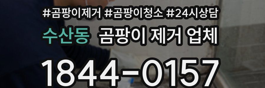 수산동 곰팡이 제거 업체